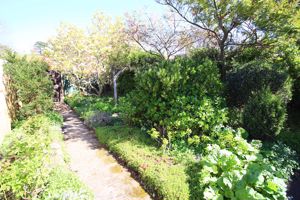 Photo 27- click for photo gallery